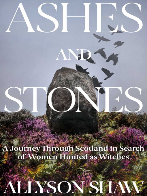 Title details for Ashes and Stones by Allyson Shaw - Available